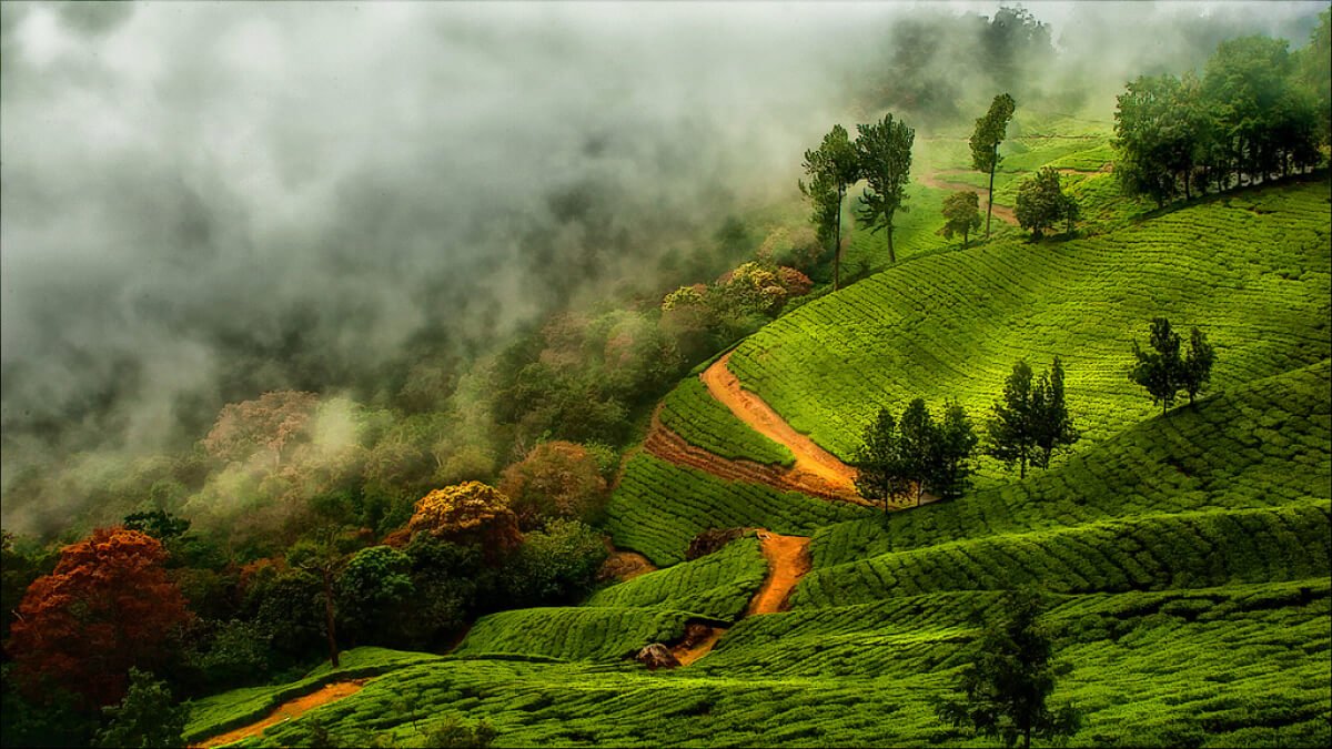 Kerala
